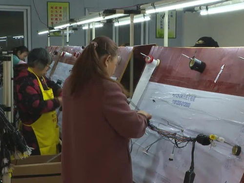 勞務服務 樂至縣鄉(xiāng)村振興的新引擎