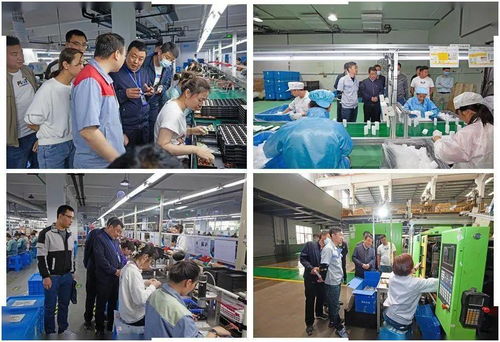 武山縣黨史學習教育助推勞務產(chǎn)業(yè)跑出加速度