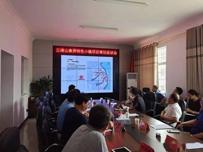 三清山康養特色小鎮項目策劃座談會順利召開，共謀旅游開發新篇章